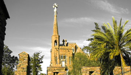 Image Caption