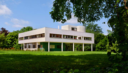 Image Caption