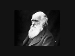 Darwin observer Darwin observer
