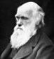 Darwin