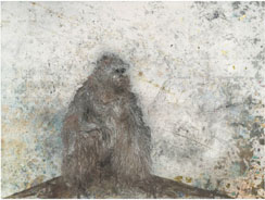 Miquel Barceló 1983-2009 - La solitude organisative