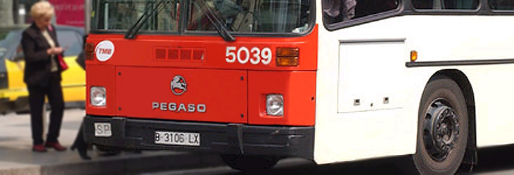 Bus