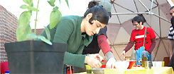 Ciutat d'artistes Ciutat d'artistes