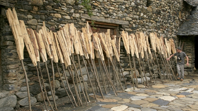 Oriol Riart (Erill – Vall de Boí)