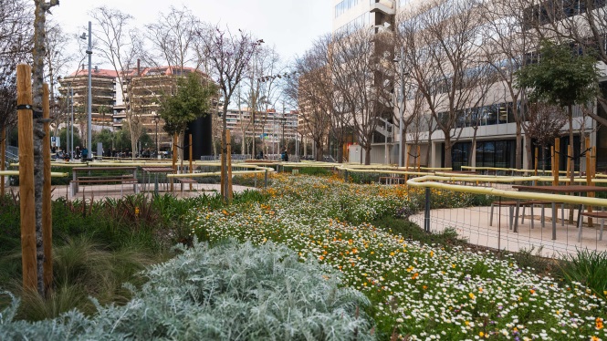 Jardins de Clara Campoamor