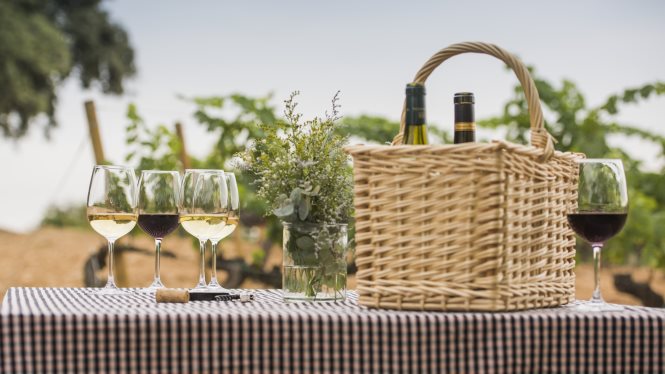 Fiesta de la Vendimia del Penedès