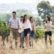 Vinos con carácter propio