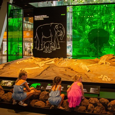 Museums with the family