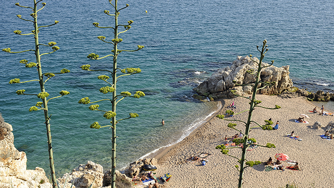 Roca Grossa Calella, Masesme