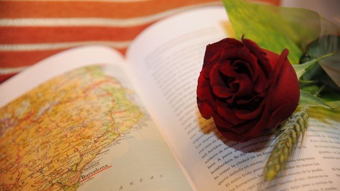 Sant Jordi, Día Mundial del Libro UNESCO