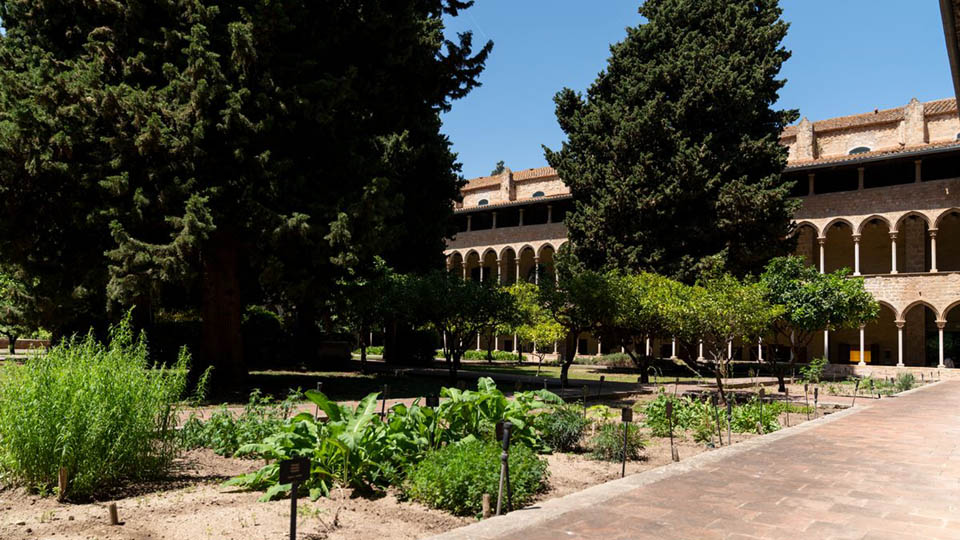 Huerto del Real Monasterio de Santa María de Pedralbes