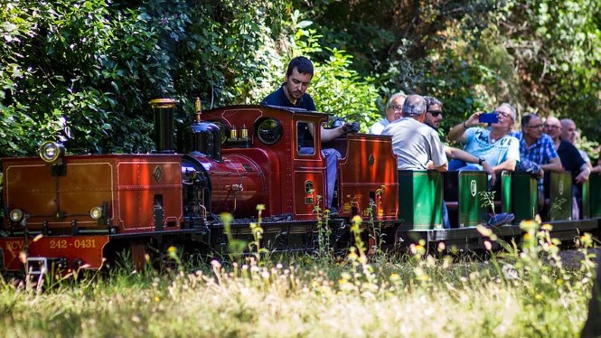 Tren del Parc del Castell de l'Oreneta