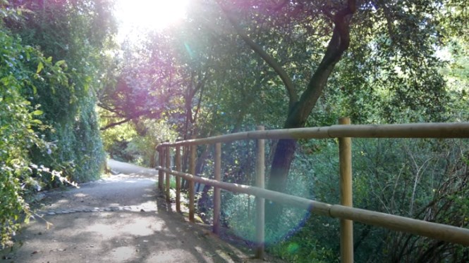 Jardín Botánico Histórico de Barcelona