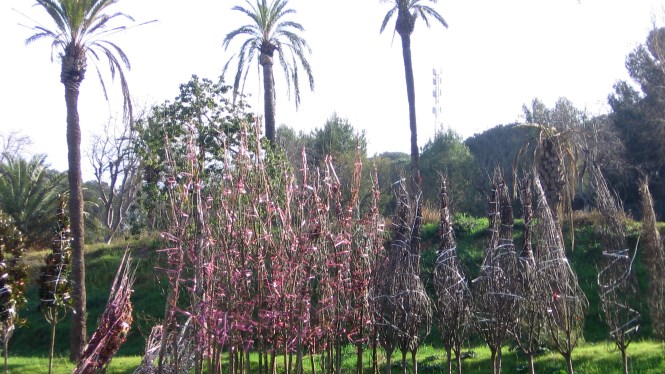 Viver Municipal de Plantes de Tres Pins - destinació 