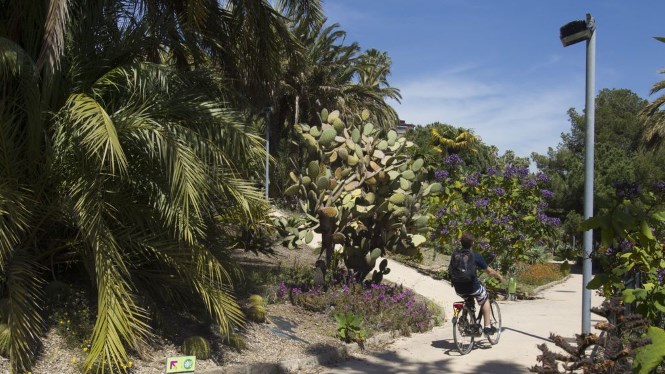 Jardins de Mossèn Costa i Llobera - Destinations
