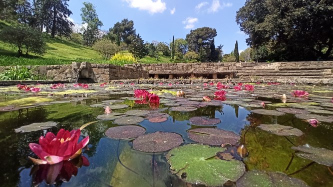 Jardins Mossen Cinto Verdaguer. Botanical trail through Barcelona