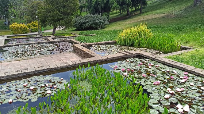 Jardins Mossen Cinto Verdaguer. Botanical trail through Barcelona