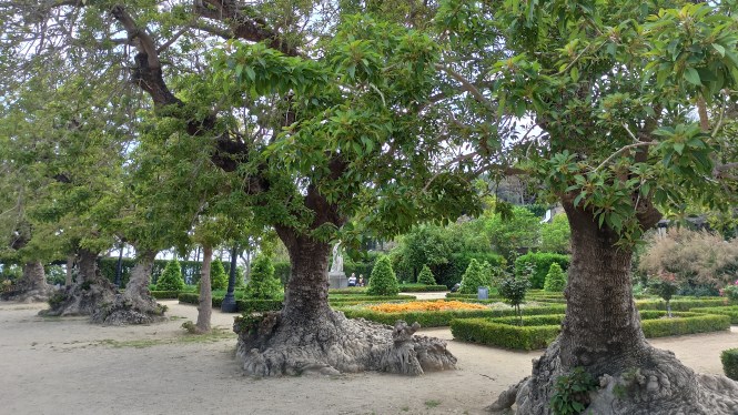 Ombu. Botanical trail through Barcelona