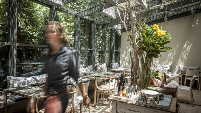 Restaurant Mordisco