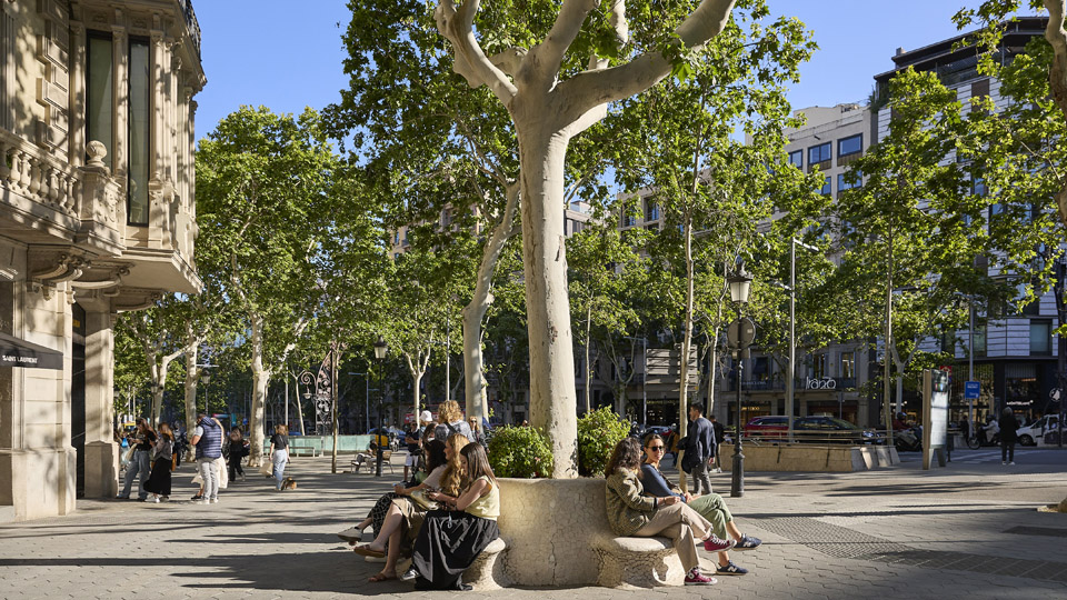 Associació del Passeig de Gràcia de Barcelona 