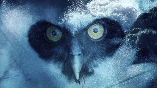 Claudia Andújar «Sin título» (de la serie «Sonhos Yanomami»), 2002. Colección MACBA. Fundación MACBA.