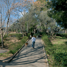 Parc del Turó de la Peira
