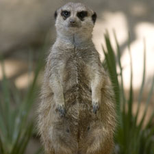 Zoo de Barcelona