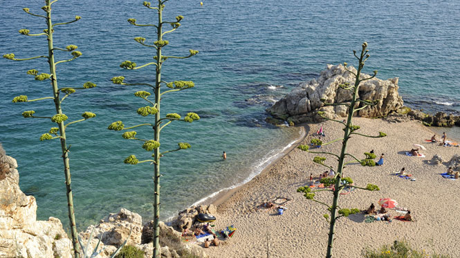 Calella de la Costa - Maresme