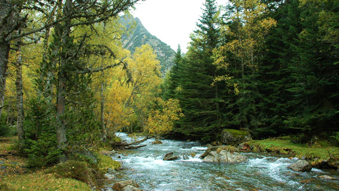 Parc Natural de l'Alt Pirineu