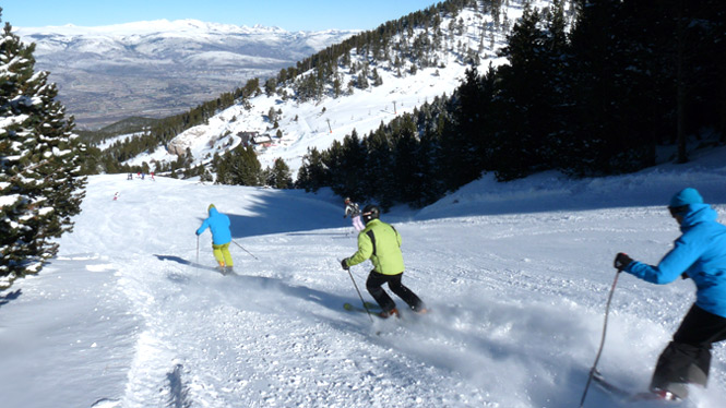 Masella