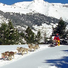 Actividades en la nieve