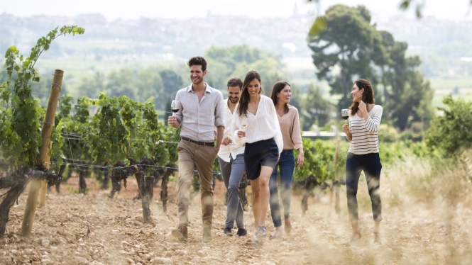 Vinos con carácter propio