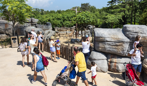 Families walking through the Barcelona Zoo
