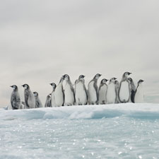 Antarctica Experience