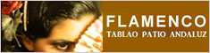 Aire Flamenco Patio Andaluz