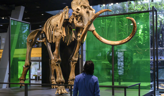 edificio CosmoCaixa a Barcellona