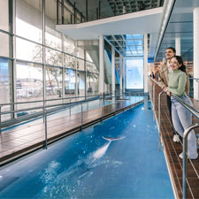 L'Aquàrium de Barcelona