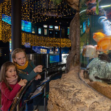 L'Aquàrium de Barcelona