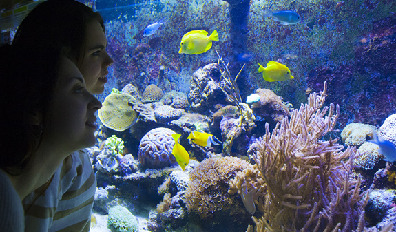 Aquàrium de Barcelona