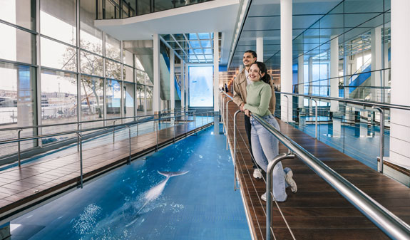 Shark tunnel Aquàrium de Barcelona 