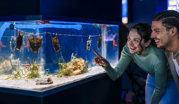 Family walking inside the Barcelona Aquarium