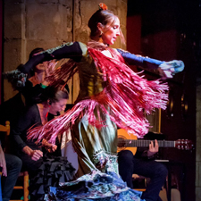 espectáculo de flamenco en el Palau Dalmases de Barcelona 