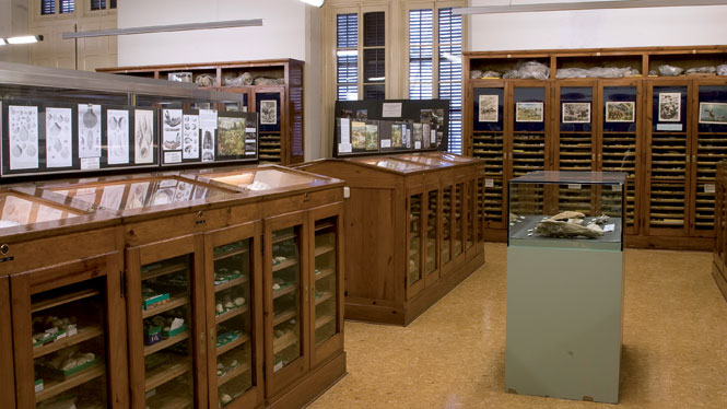 Museu Geològic del Seminari de Barcelona