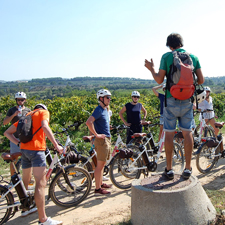 ruta en bicicleta por las viñas de Penedés