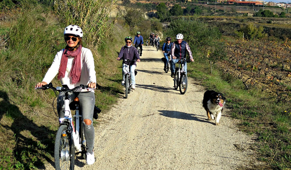 group cycling through the vineyards of Penedés