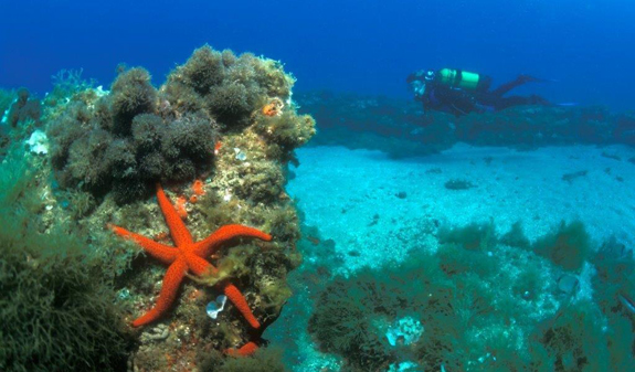 subacqueo sui fondali delle spiagge di Mataró