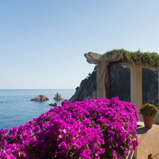jardín botánico Marimurtra en Blanes