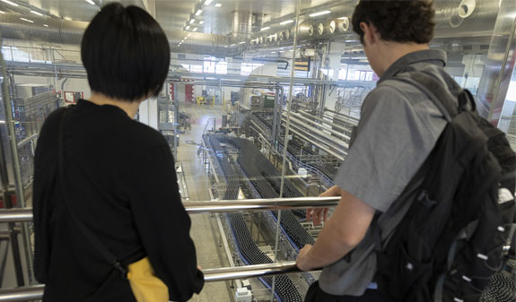visita guiada a la fàbrica Estrella Damm El Prat Barcelona