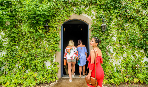 visita di una cantina nel Penedés