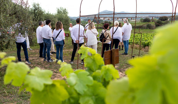 Grup de persones passejant per les vinyes